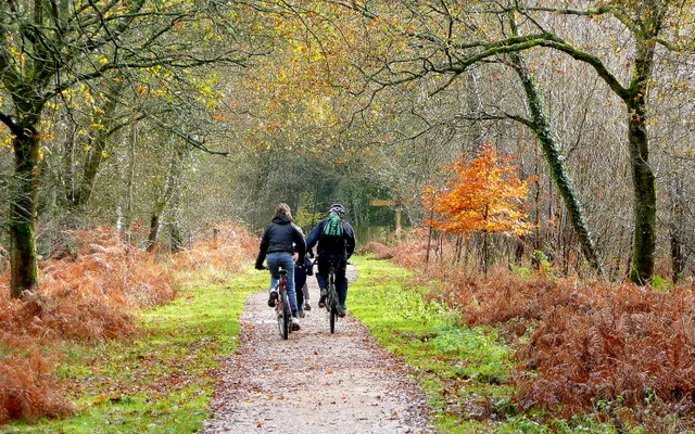 Cycling scene illustrating gravel bikes in the uk: a practical buyer’s guide